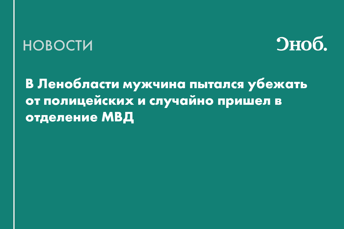 В Ленобласти мужчина пытался убежать от полицейских и случайно попал в отделение МВД