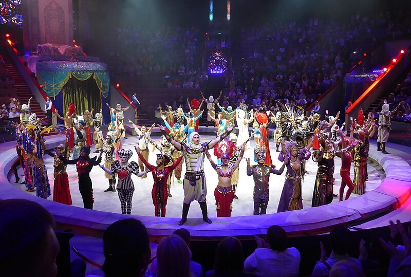 Выступление в Большом Московском цирке в 2019 году