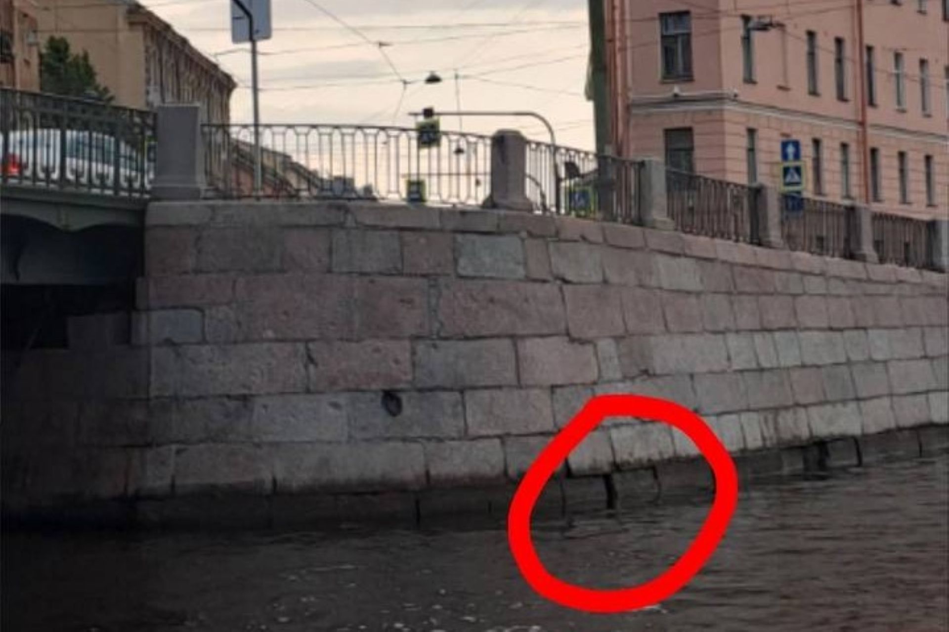 В Петербурге не могут спасти кота, застрявшего в облицовке набережной