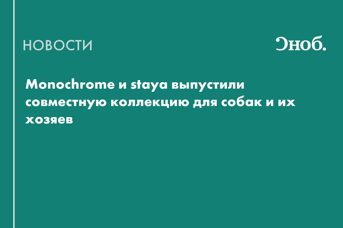 Monochrome и staya представили лимитированную коллекцию одежды и аксессуаров для собак и их хозяев