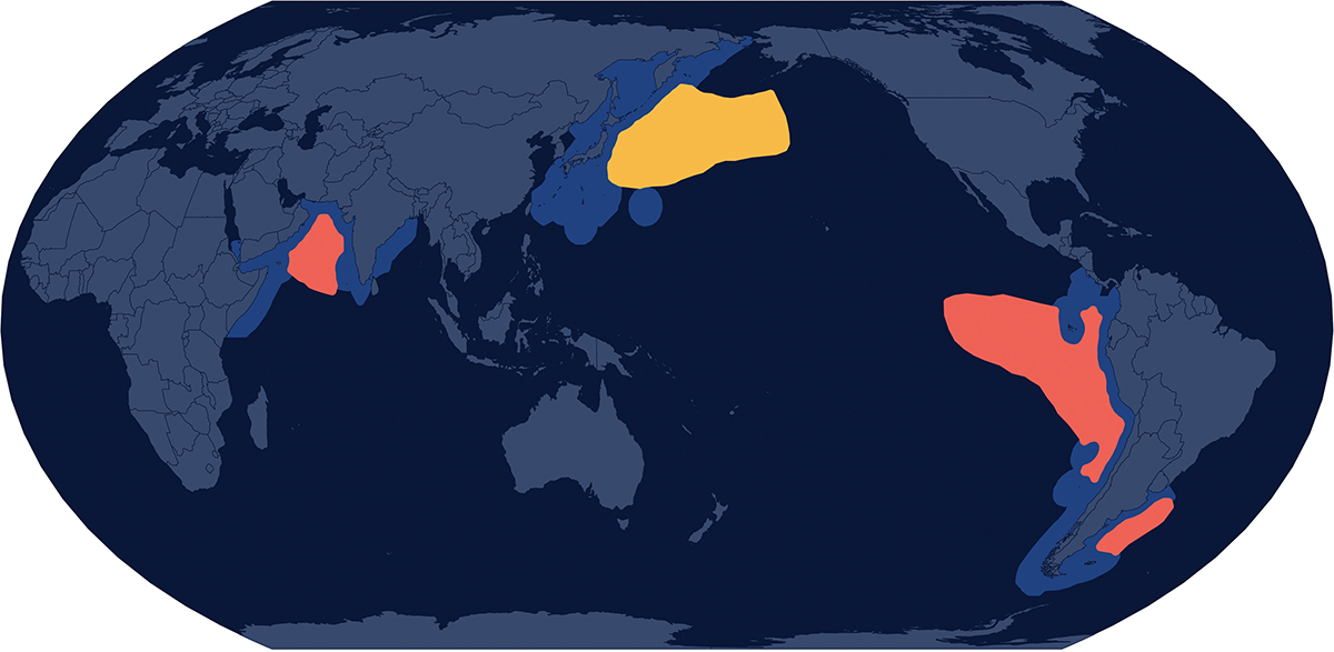 Карта ловли кальмара при помощи фонарей-приманок. Темно-синим цветом выделены исключительные экономические зоны, желтым — подконтрольные Региональным организациям по управлению рыболовством, красным — «теневые»