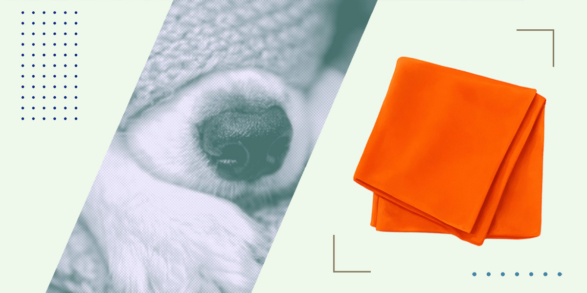 Чёрт знает что такое! Вещь недели: плед «Додо Пиццы»