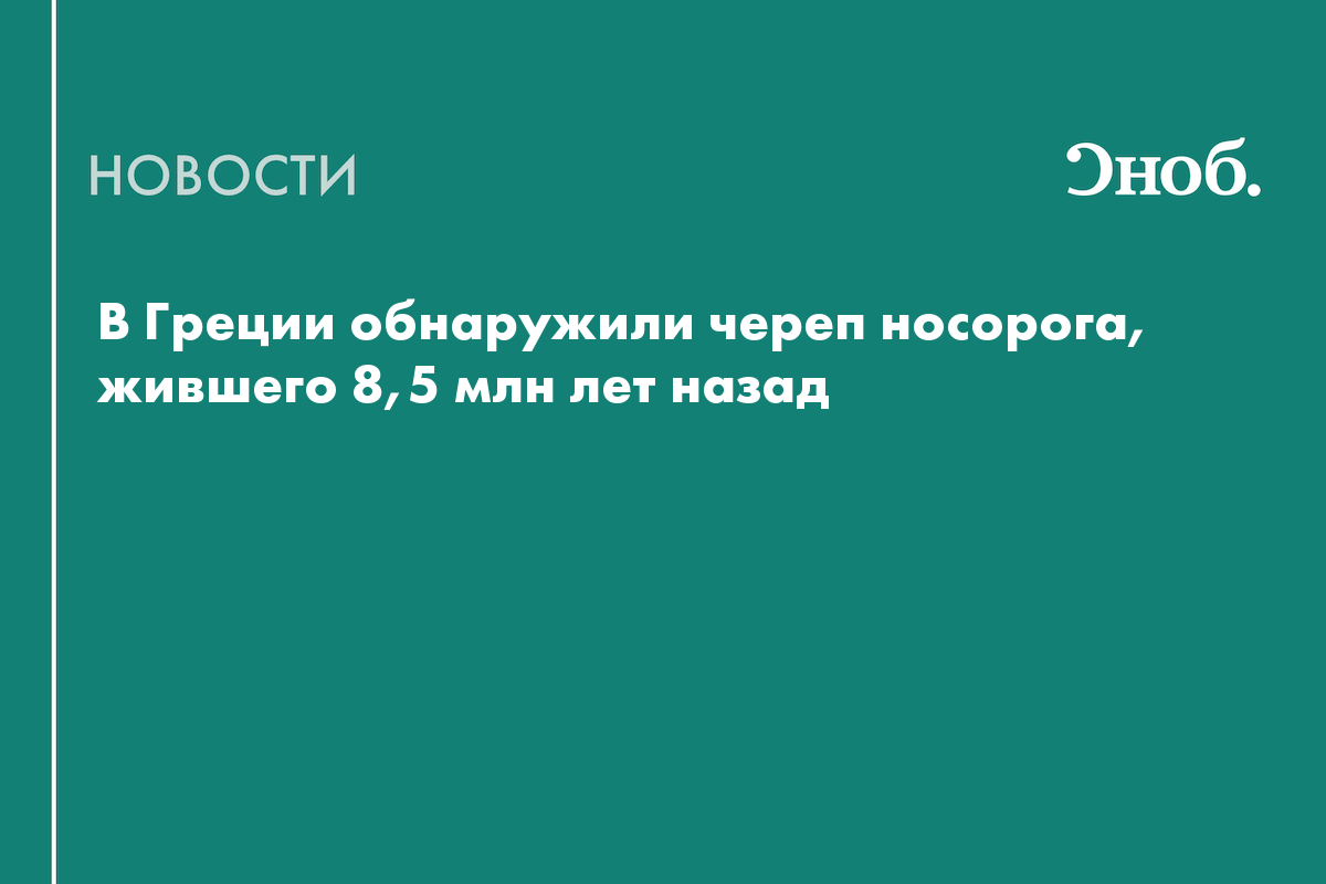 В Греции нашли череп возрастом 8,5 млн лет
