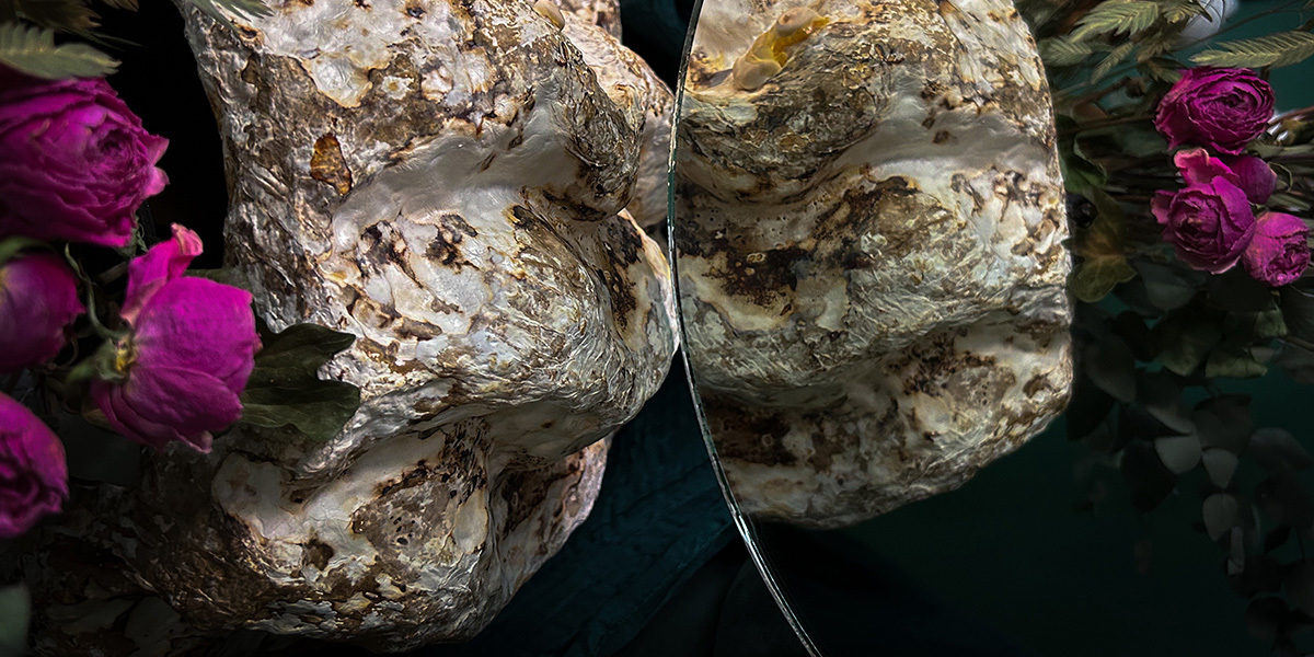 Грибной биохакинг: как мицелий прорастает в наши интерьеры и превращается в мебель