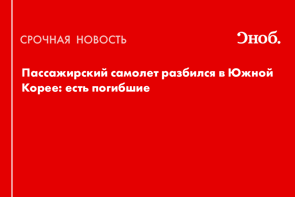 Пассажирский самолет разбился в Южной Корее: есть погибшие