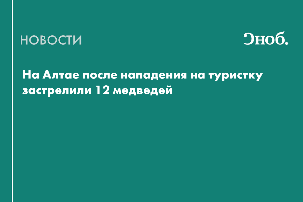 На Алтае, возможно, убили напавшего на туристку медведя