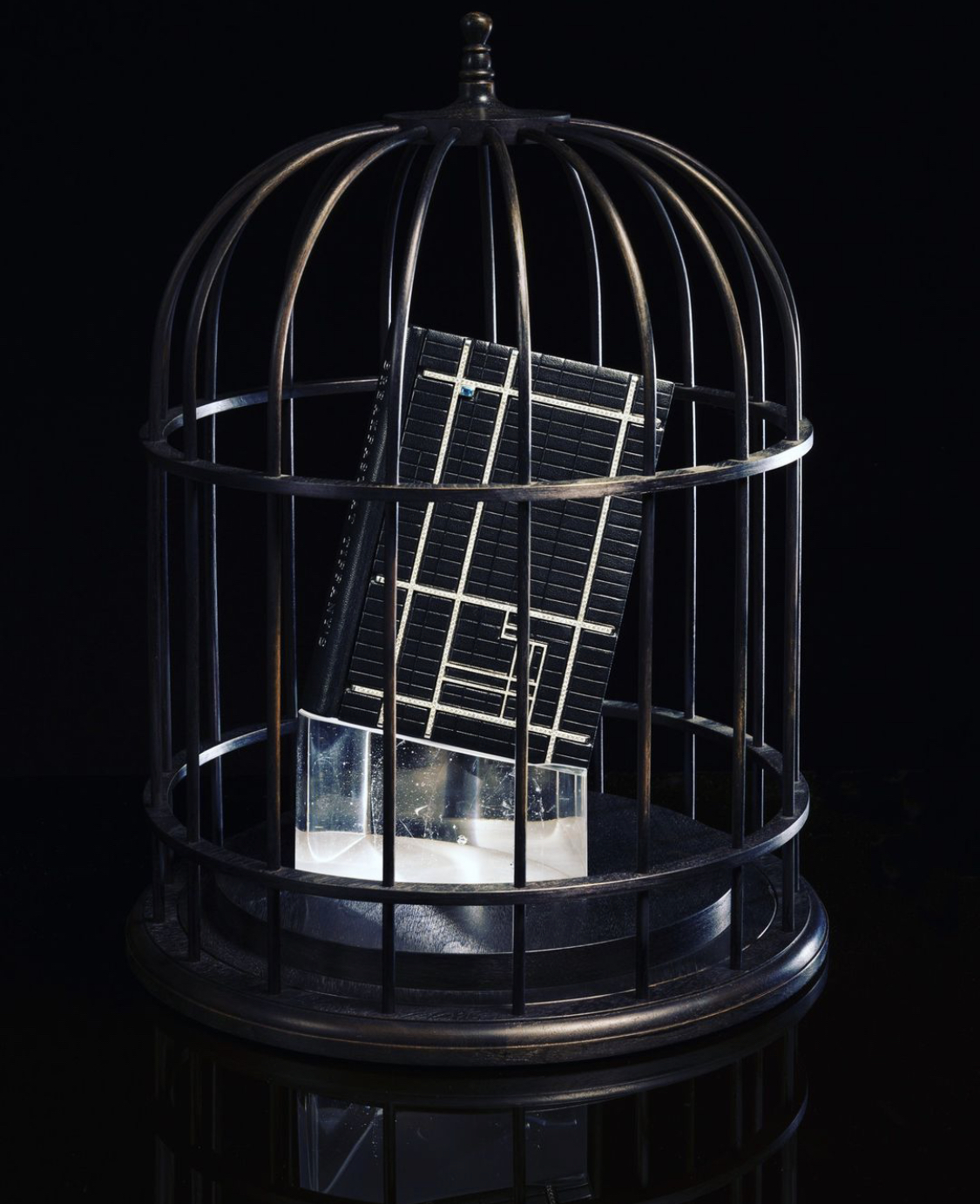 Птичья клетка как символическое воплощение главной идеи новеллы Трумена Капоте, впервые опубликованной в 1958 году