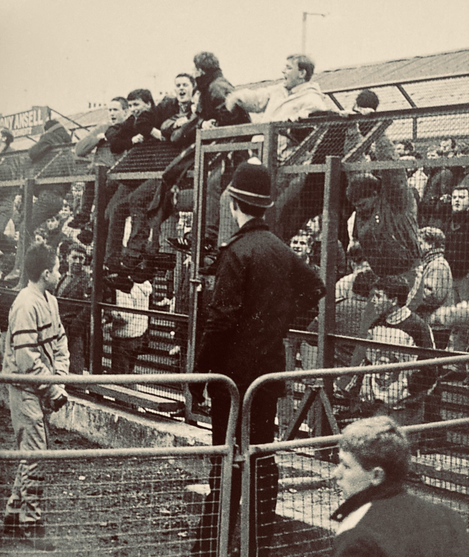 Болельщики футбольного клуба «Брайтон» на матче в Нортгемптоне | A Casual Look