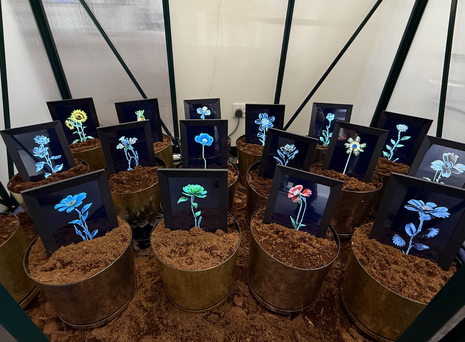 Matteo Mandelli e Luca Baldocchi, Fioriture Sintetiche, 2025 (фото Artuu Magazine)