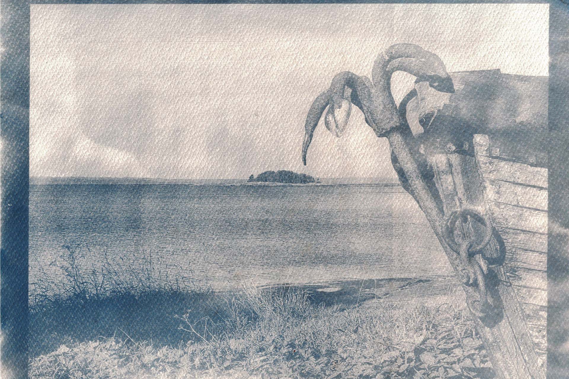 «Одинокий остров», 2024 год