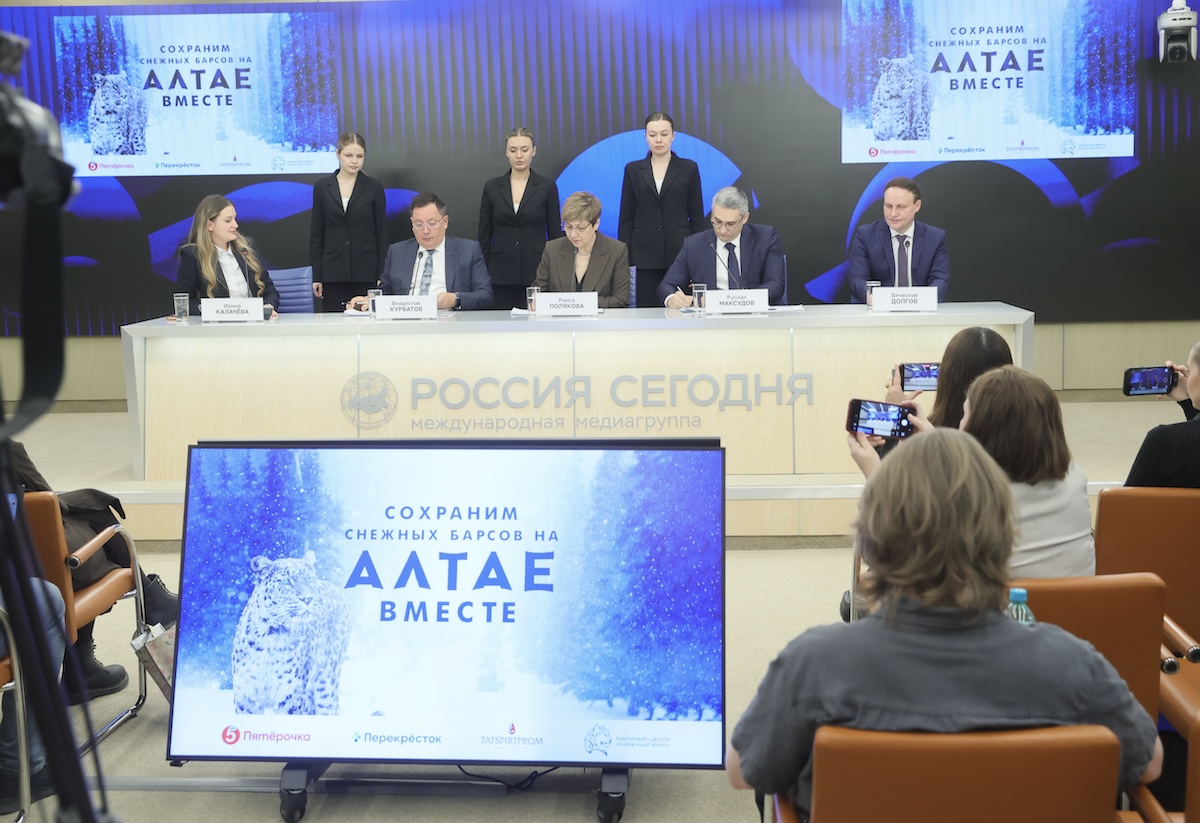 Торговые сети объединились для спасения снежного барса