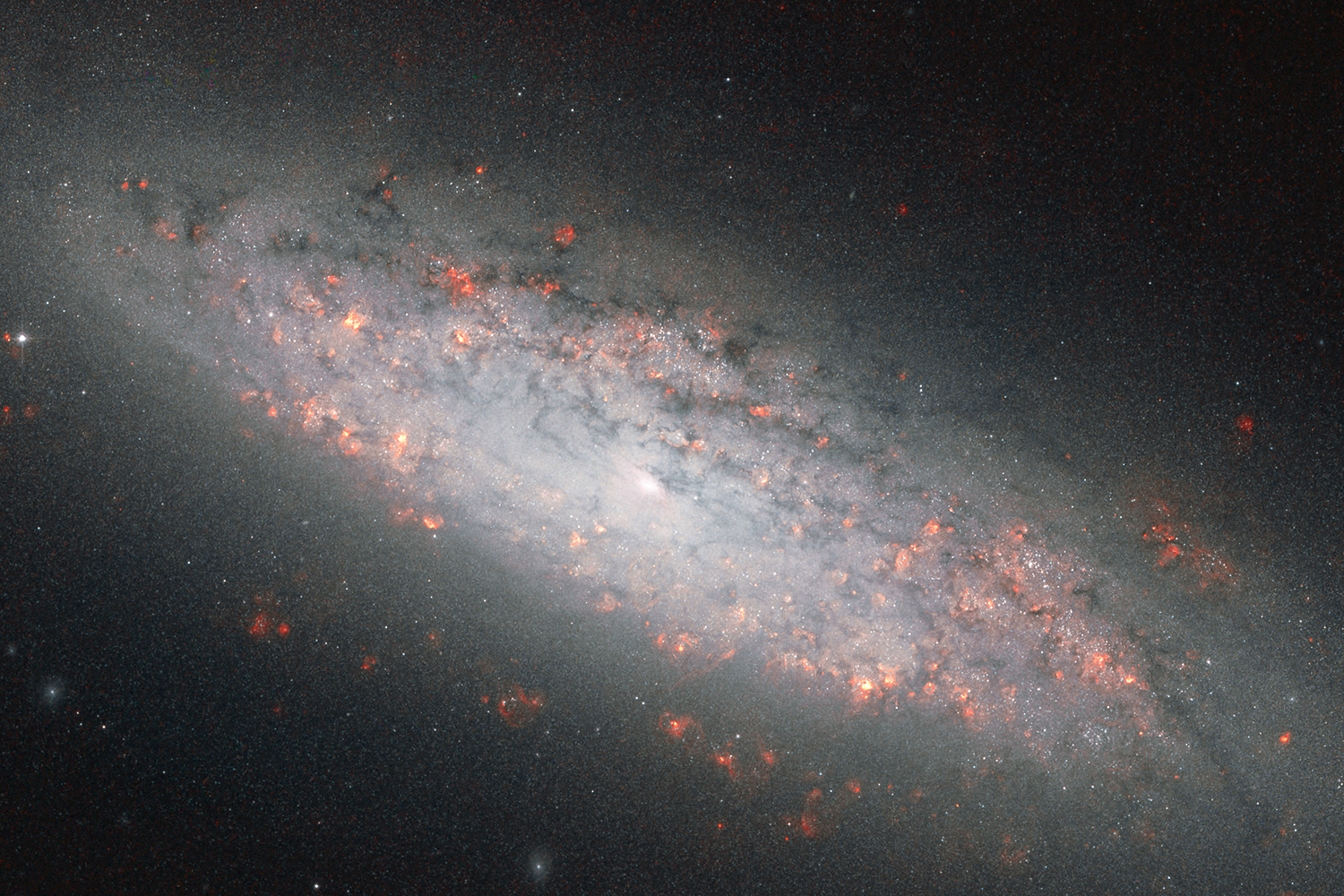 NGC 6503 — молодая спиральная галактика, в которой идет бурный процесс образования звезд. Расположена в созвездии Дракона, в 17 миллионах световых лет от нас