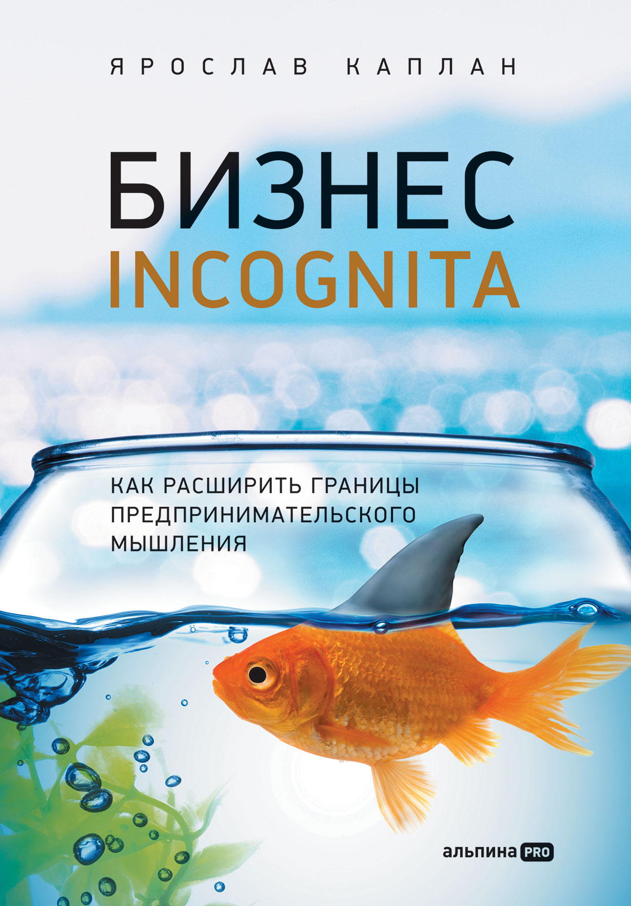 Обложка книги Ярослава Каплана «Бизнес incognita. Как расширить границы предпринимательского мышления»