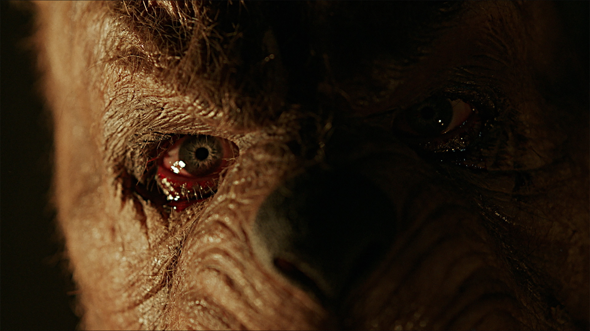 Кадр из фильма «Винни-Пух: Кровь и мед 2»