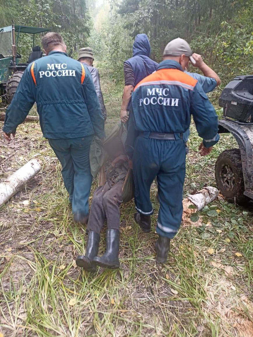 Спасатели выносят грибника из леса