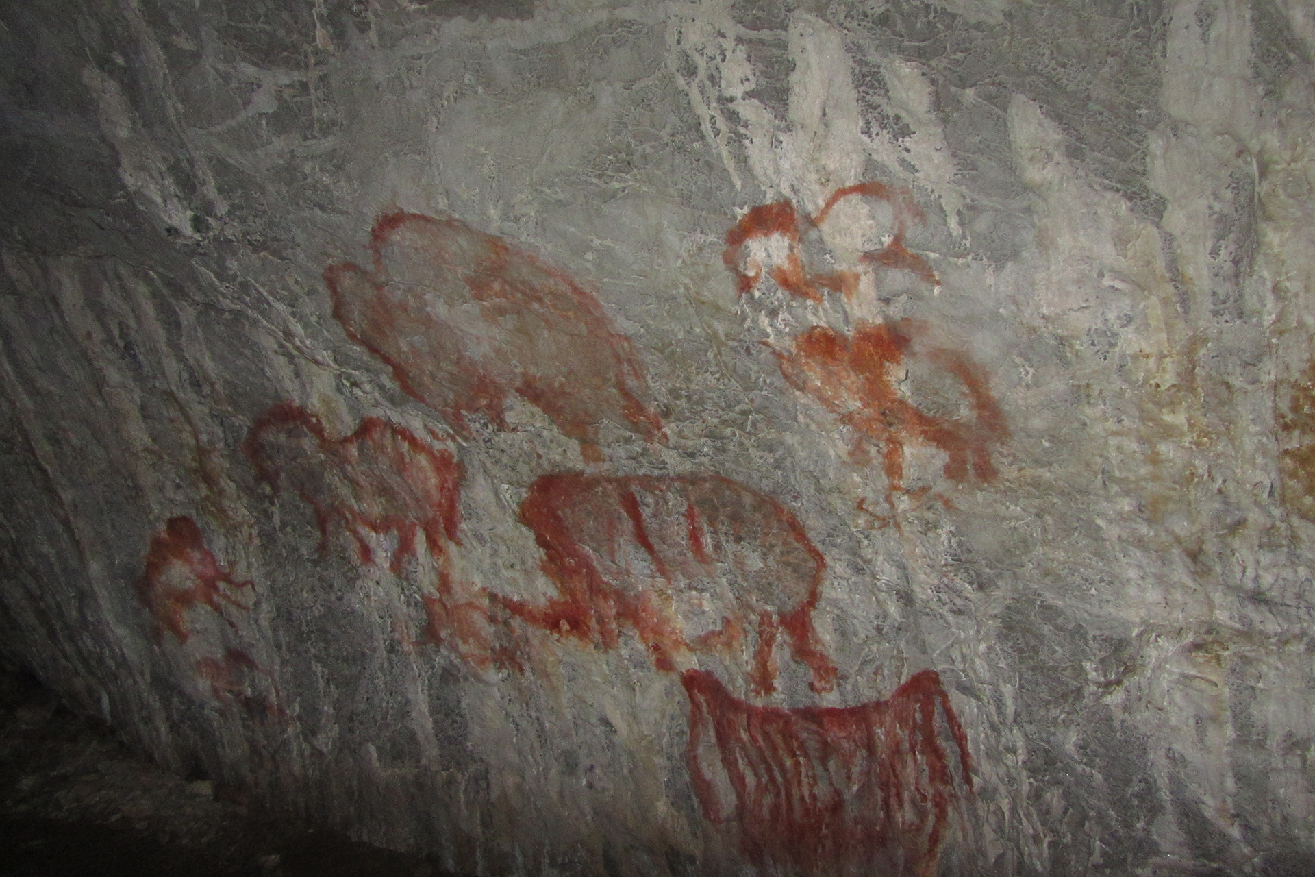 Рисунки на стене в Каповой пещере