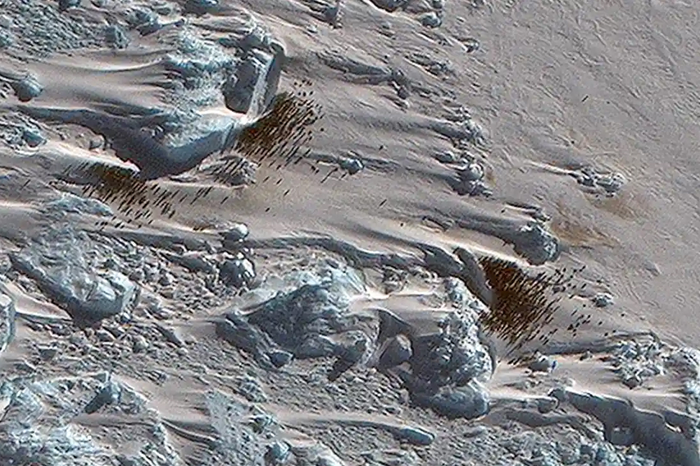 Колония императорских пингвинов, обнаруженная в Антарктиде с помощью технологии спутникового картографирования