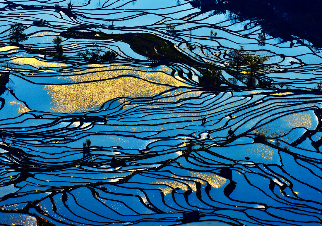 Юньнань, Китай. В списке Всемирного наследия  Юнеско эти рисовые террасы — под красивым номером 1111. Полторы тысячи лет здешние крестьяне выращивают на склонах гор красный рис и рыбу. Умирая, рыба удобряет рис.