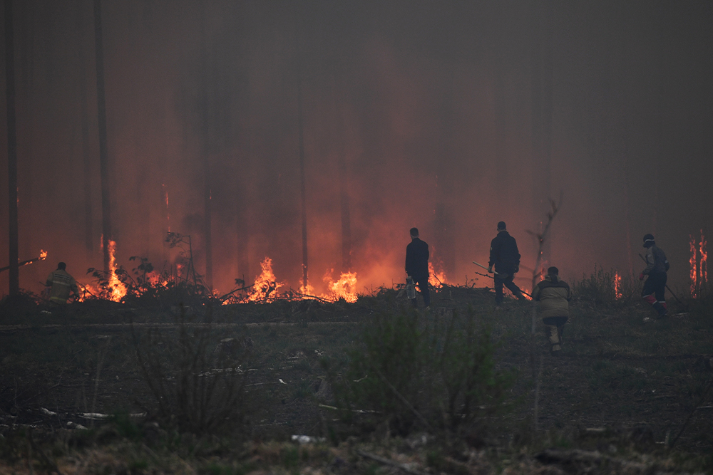 Лесной пожар в Свердловской области, 7 мая 2023 года