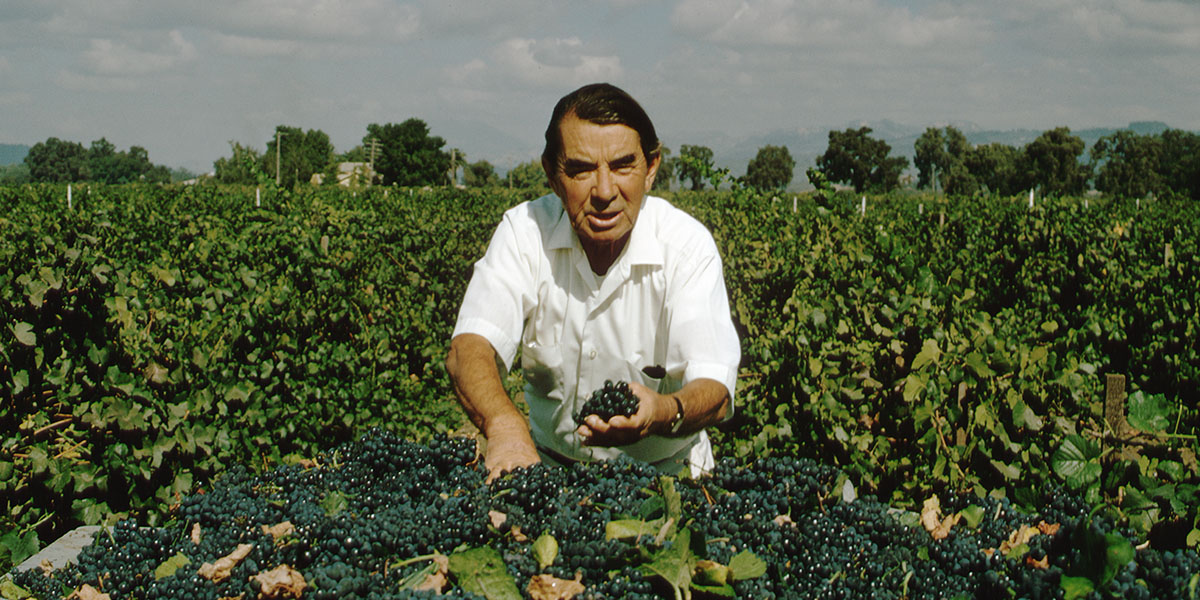 Ненависть к большевикам и вера в микробы: краткая история винодела Челищева