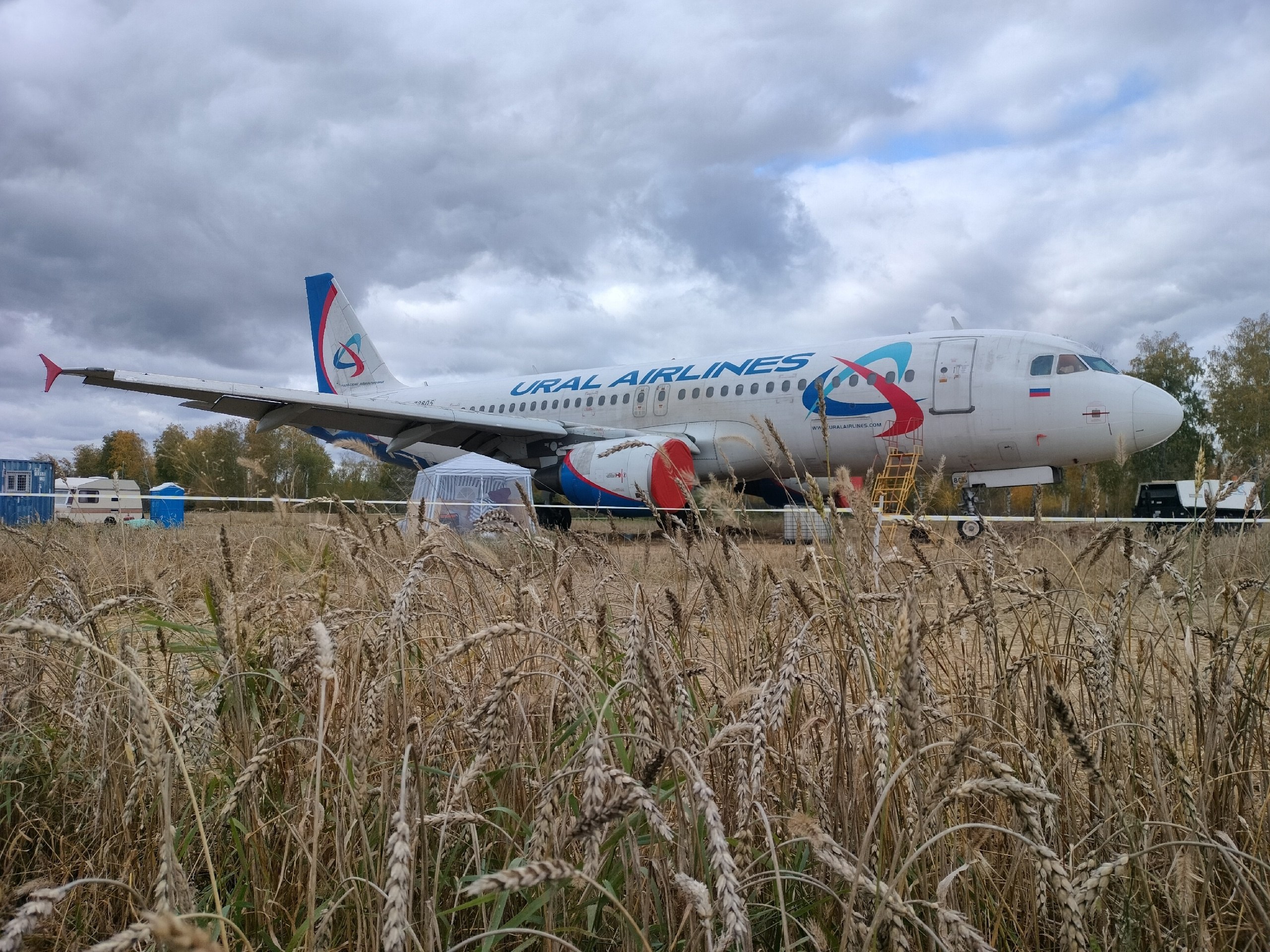 Самолет «Уральских Авиалиний», совершивший вынужденную посадку в поле в Новосибирской области