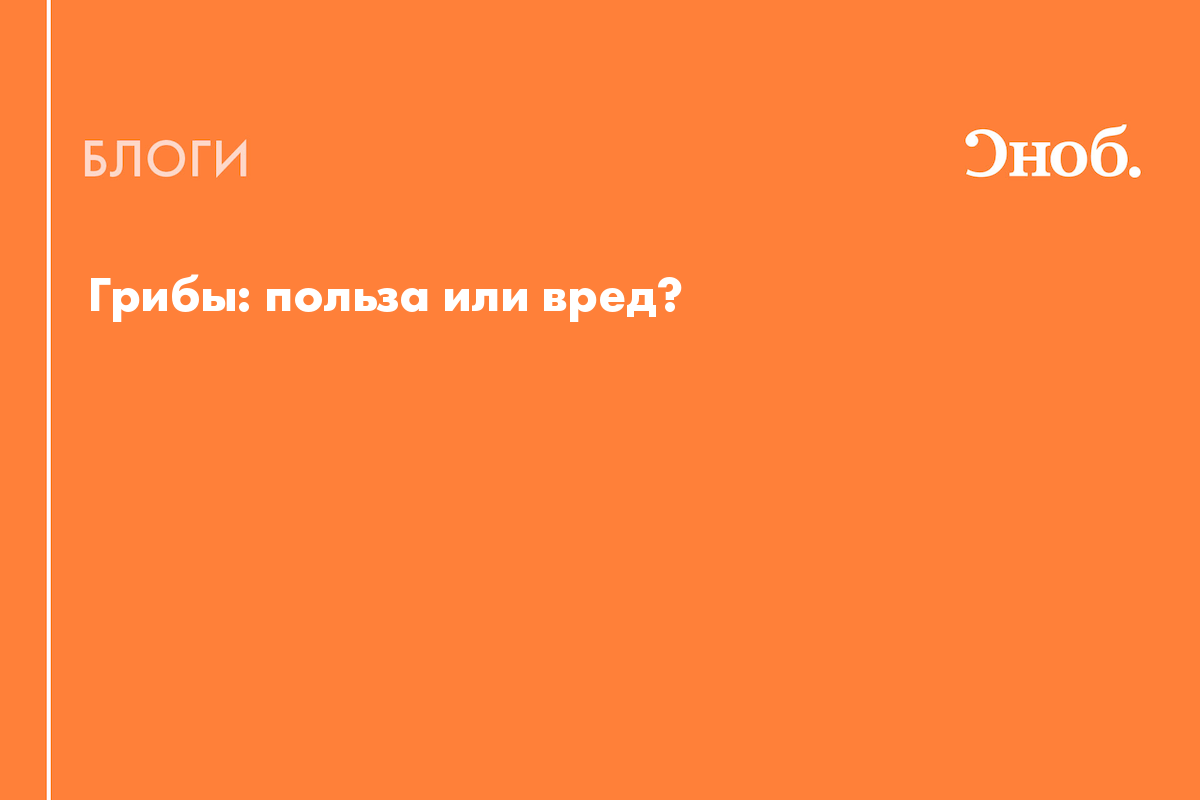 Грибы: польза или вред? - Блог Екатерина Йенсен