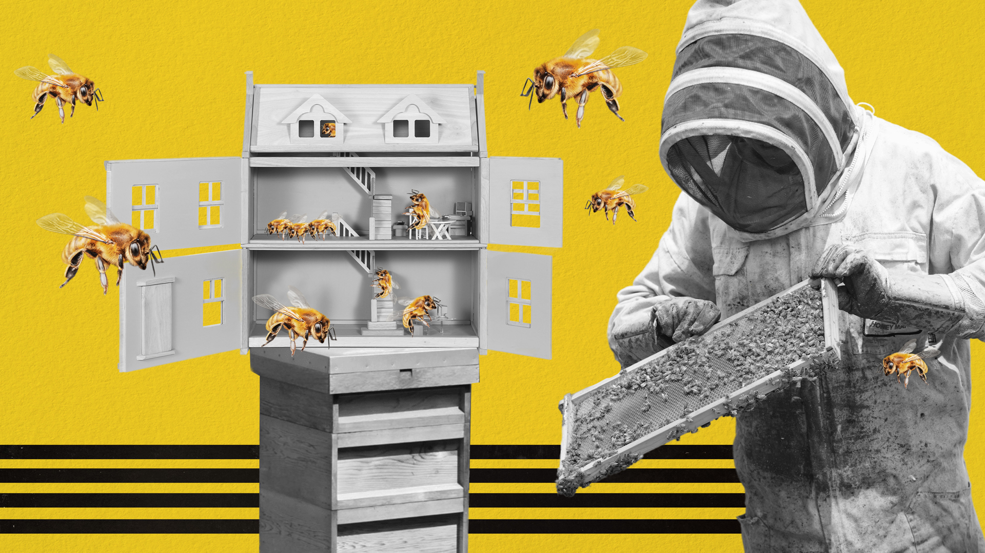 Как сделать улей для пчёл своими руками?