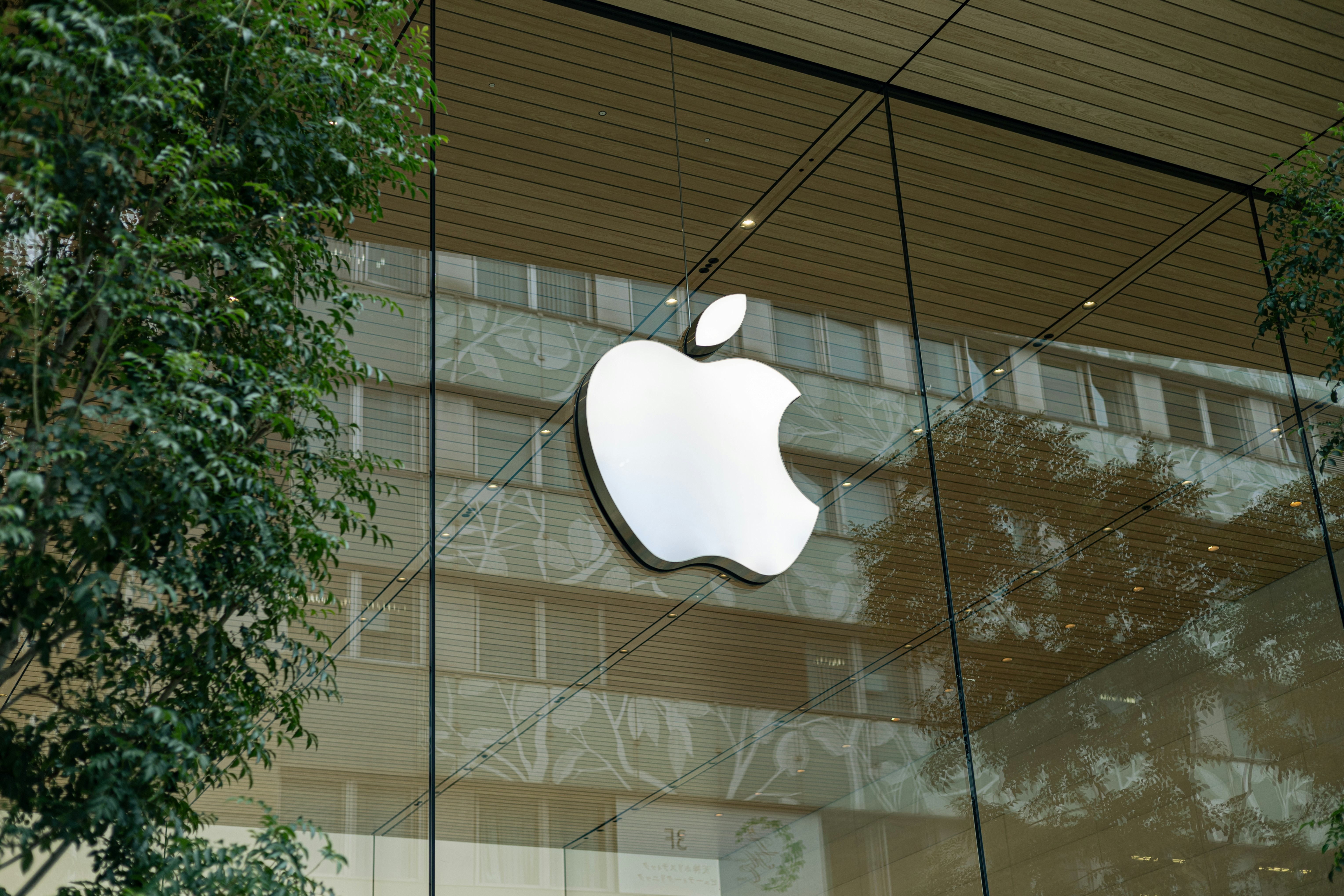 Илон Маск пригрозил Apple судом из-за низкой позиции его нейросети в App Store