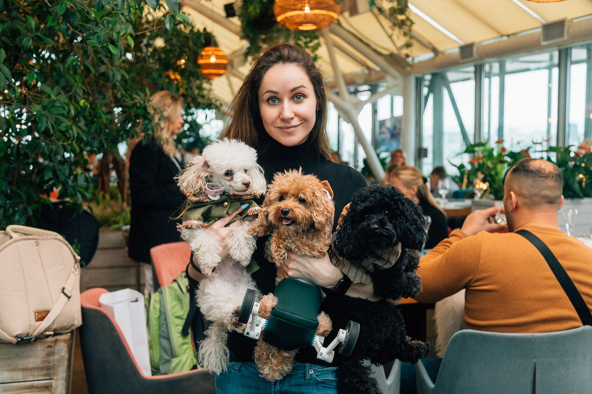 Как появились и развиваются pet-friendly-рестораны в Москве