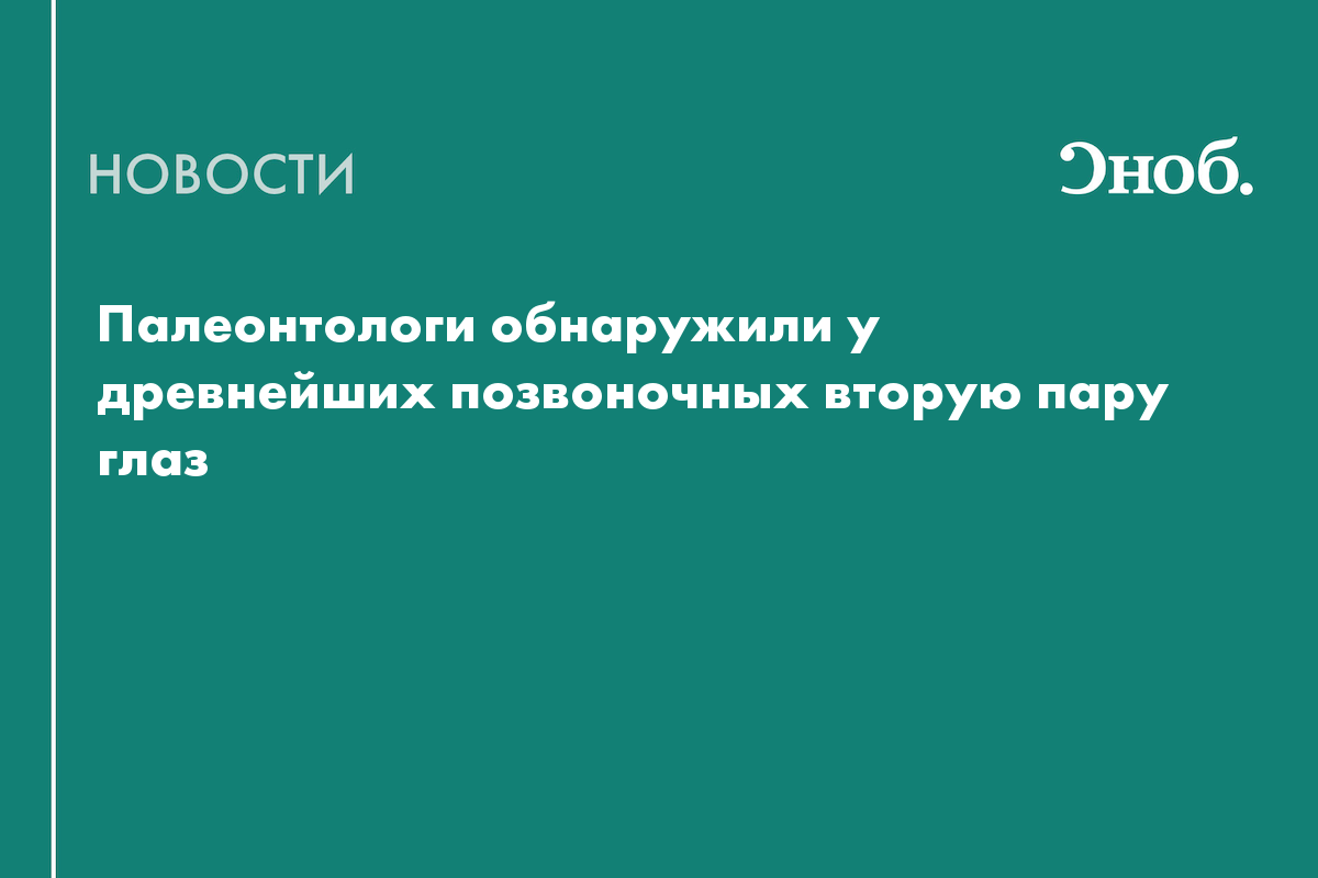 Палеонтологи обнаружили у древнейших позвоночных вторую пару глаз