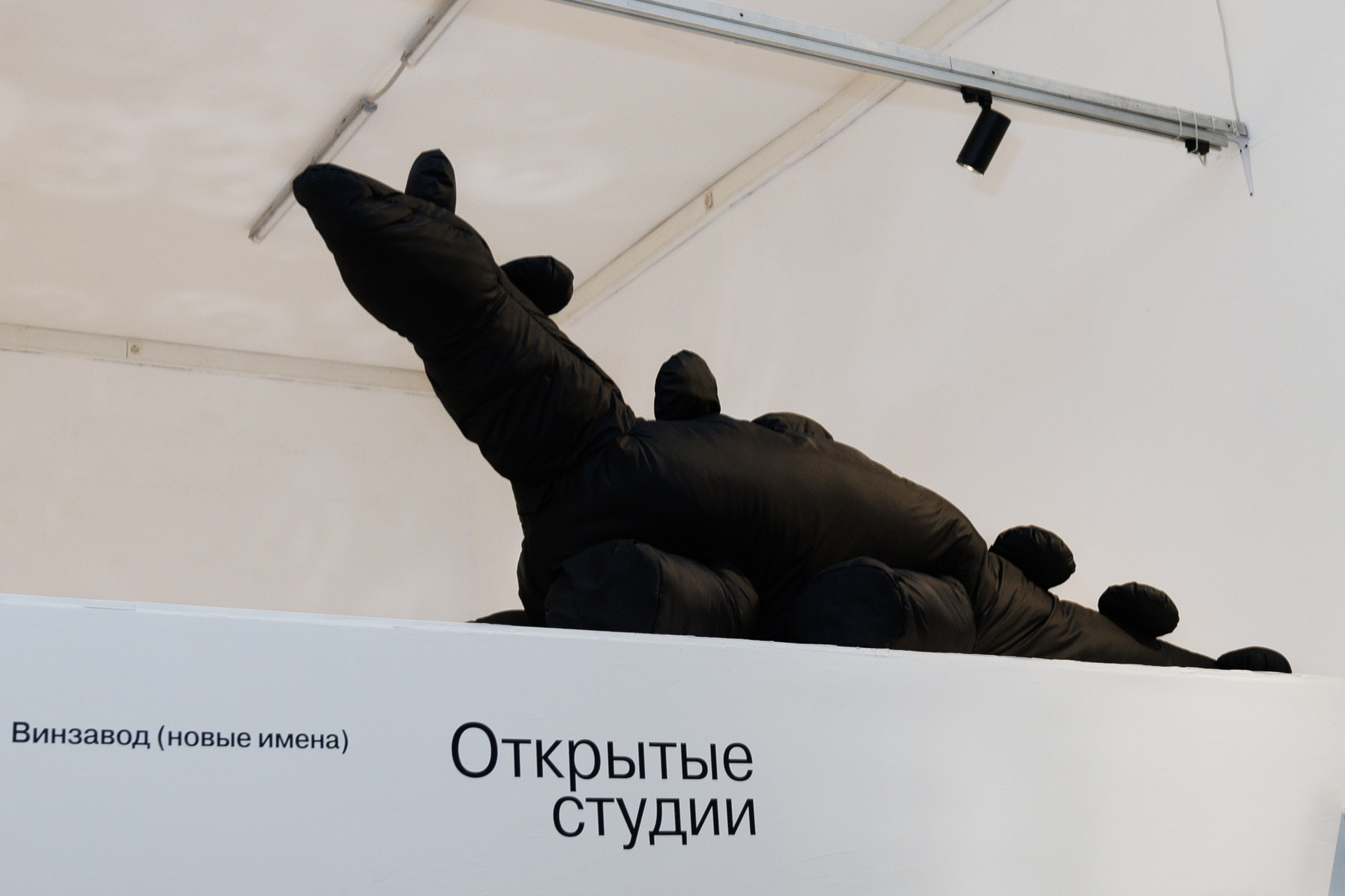<b>Дина Боровик, часть тотальной инсталляции «Динотека. Метеорит не прилетел»</b>