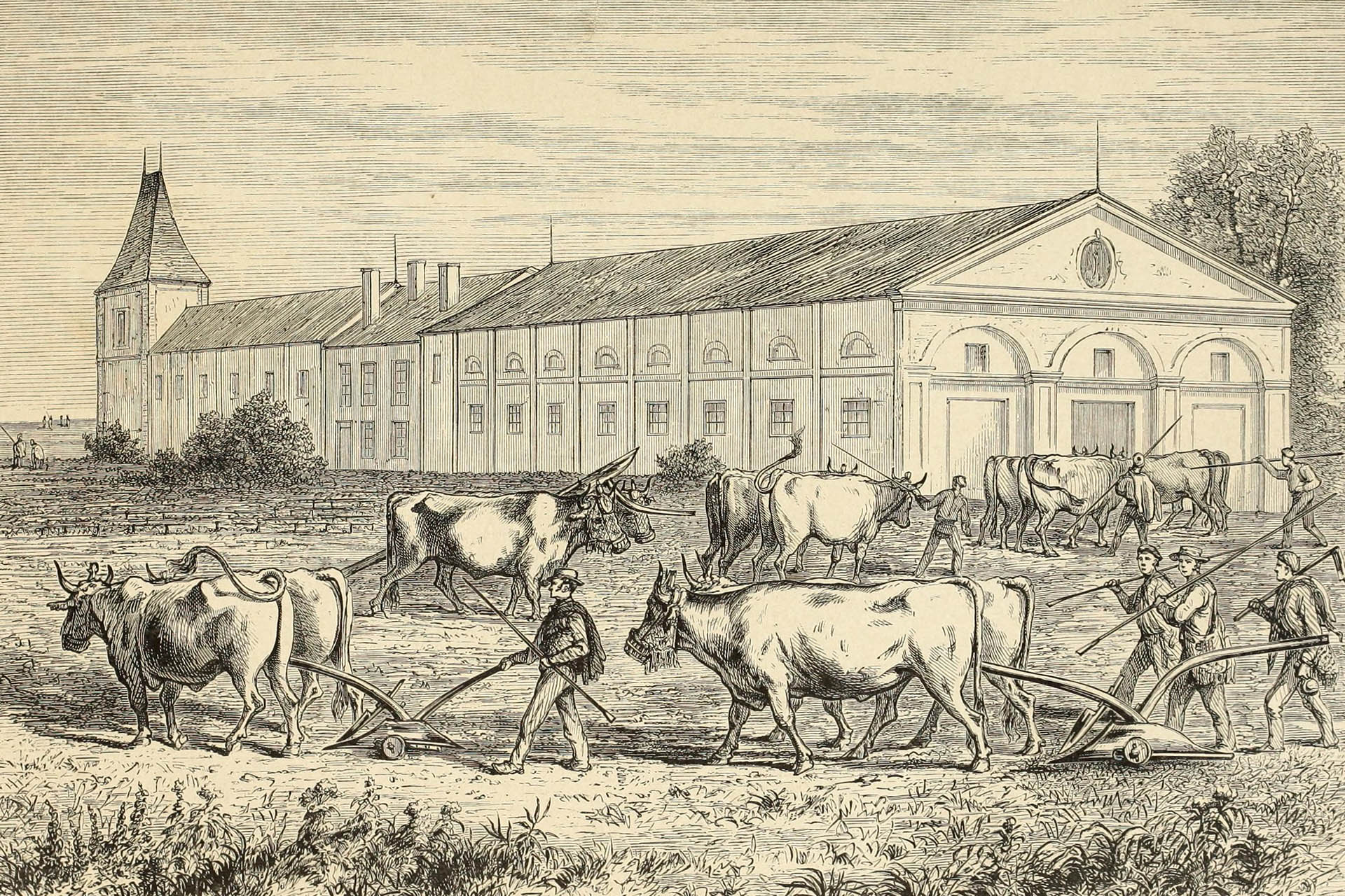 Вид имения Мутон в 1838 году