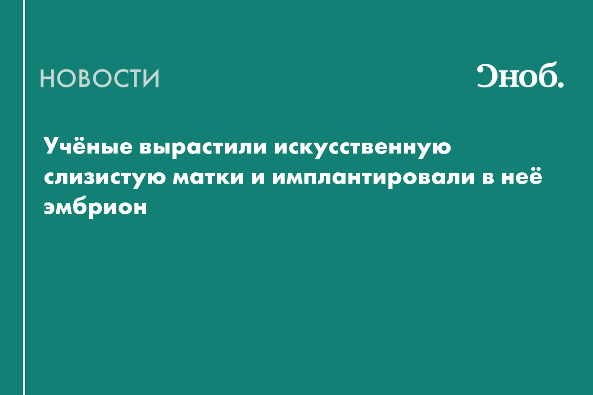 Учёные вырастили искусственную слизистую матки и имплантировали в неё эмбрион