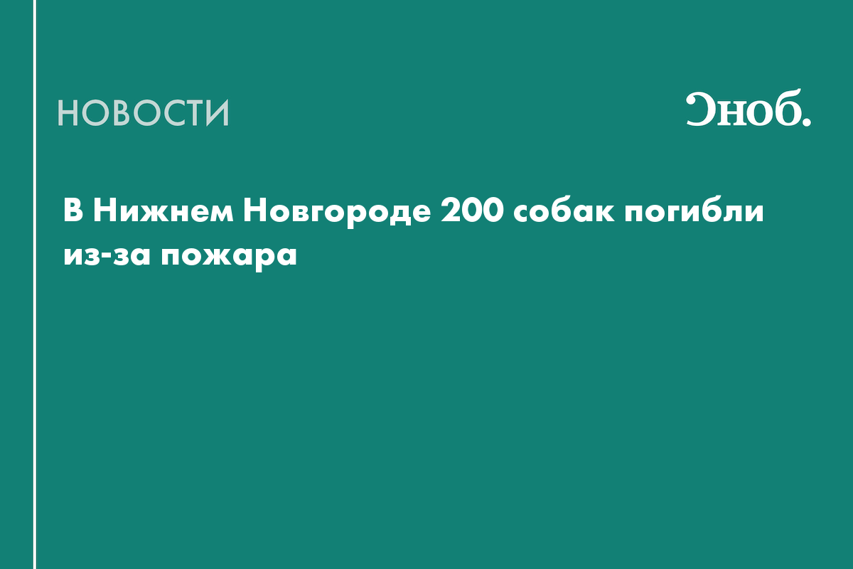 В Нижнем Новгороде 200 чихуахуа погибли при пожаре