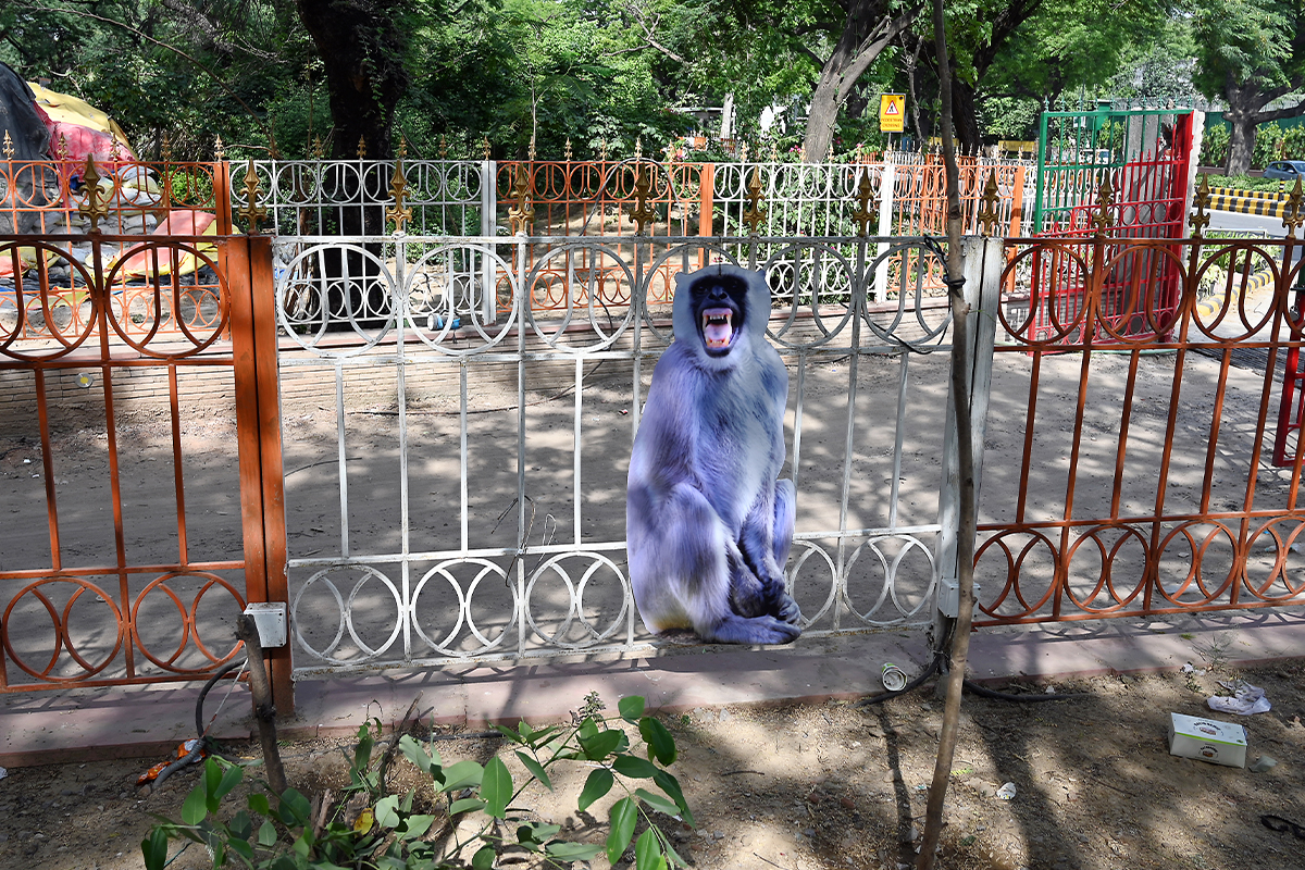 Фигура обезьяны в натуральную величину на заборе, Нью-Дели