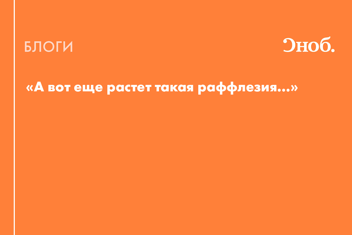 А вот еще растет такая раффлезия…» - Блог Юрий Белановский