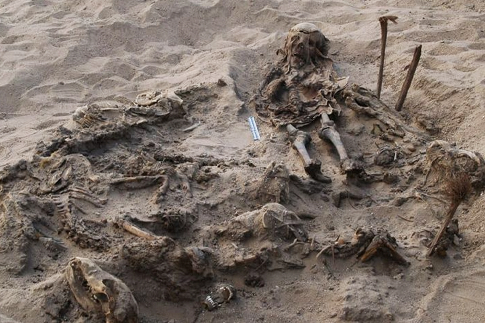 Обнаруженные археологами останки
