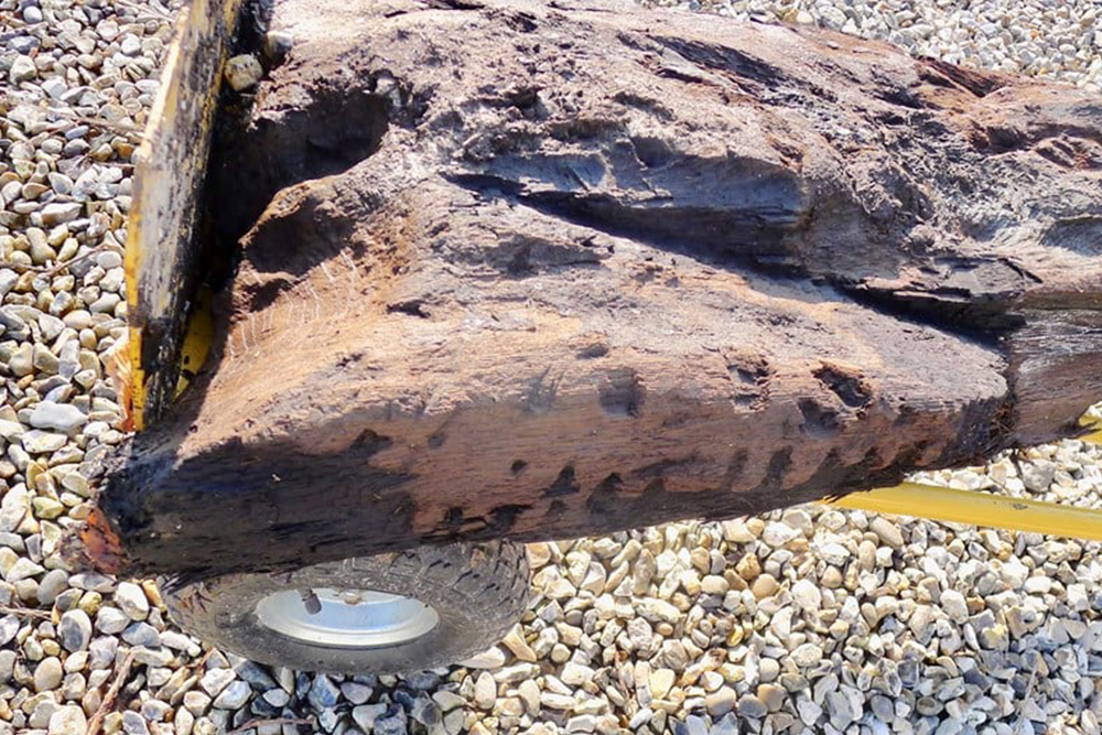 Боксфордская древесина обнаружена в Беркшире