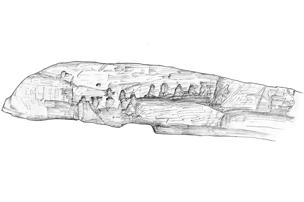 Археологическая иллюстрация, показывающая резьбу на обнаруженной древесине