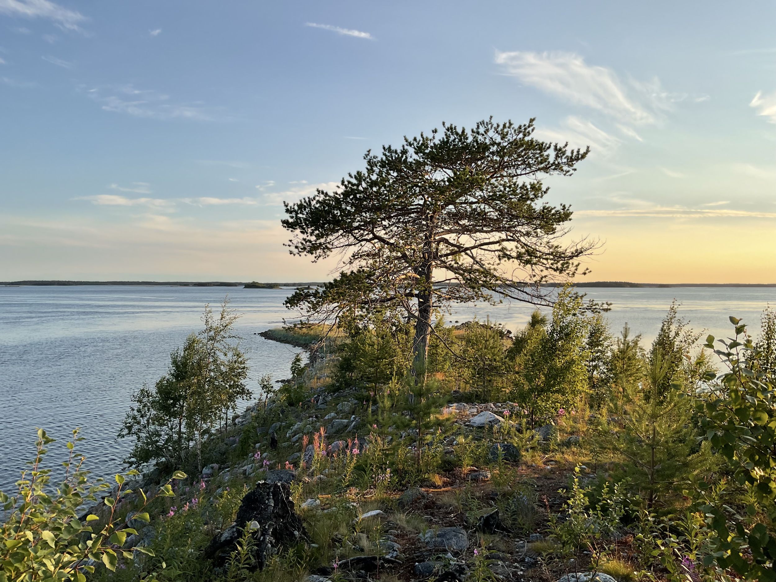 Это моя фотография. Белое море, Калгалакшская бухта