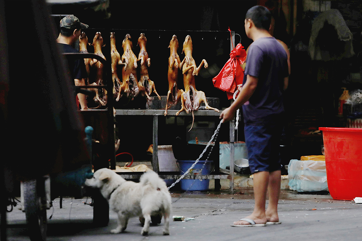 Хозяин выгуливает собаку, разговаривая с продавцом собачьего мяса