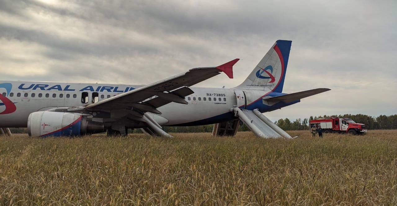 Фото с места аварийной посадки самолета «Уральских авиалиний»