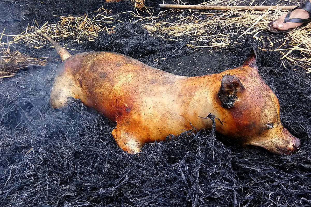 21 июня 2018 года. Первый день фестиваля собачьего мяса в Юйлинь. Туша собаки жарится в соломе. Днем раньше верховный суд Южной Кореи, где собаки традиционно употреблялись в пищу, объявил их убийство незаконным.