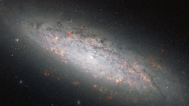 NGC 6503 — молодая спиральная галактика, в которой идет бурный процесс образования звезд. Расположена в созвездии Дракона, в 17 миллионах световых лет от нас