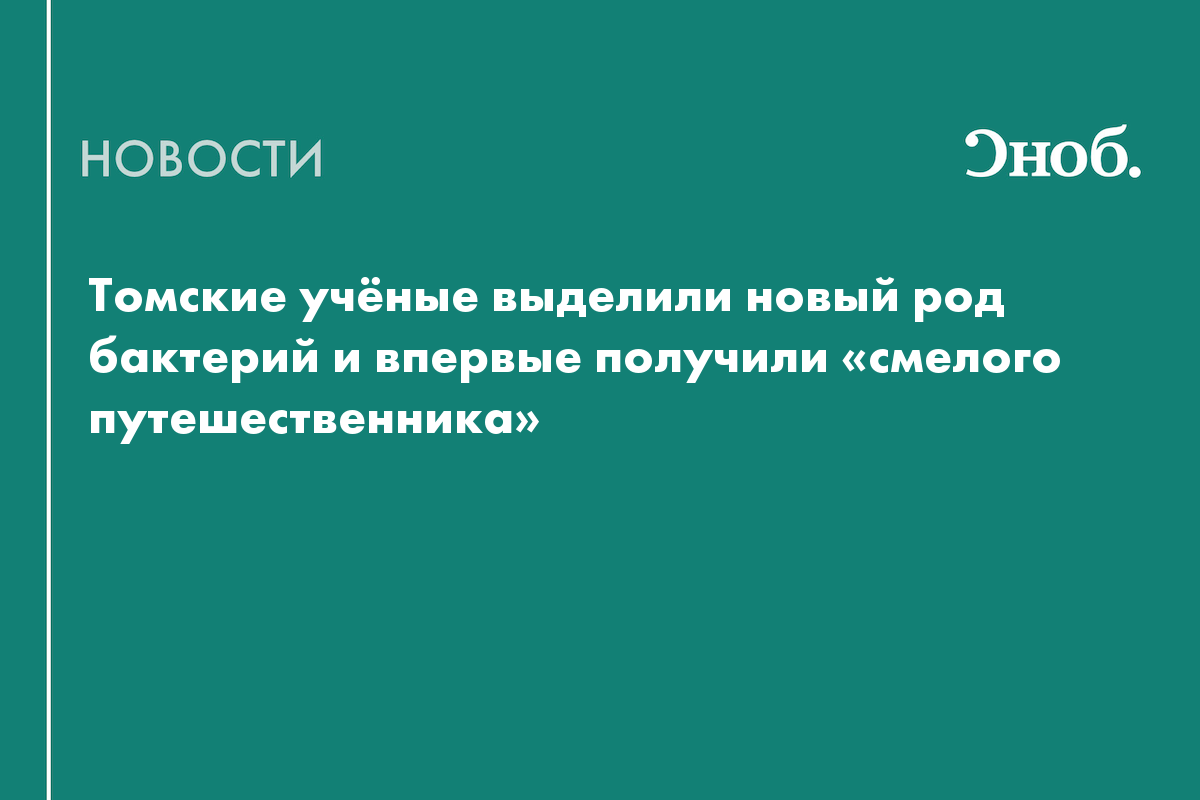 Томские учёные выделили новый род бактерий и впервые получили «смелого путешественника»