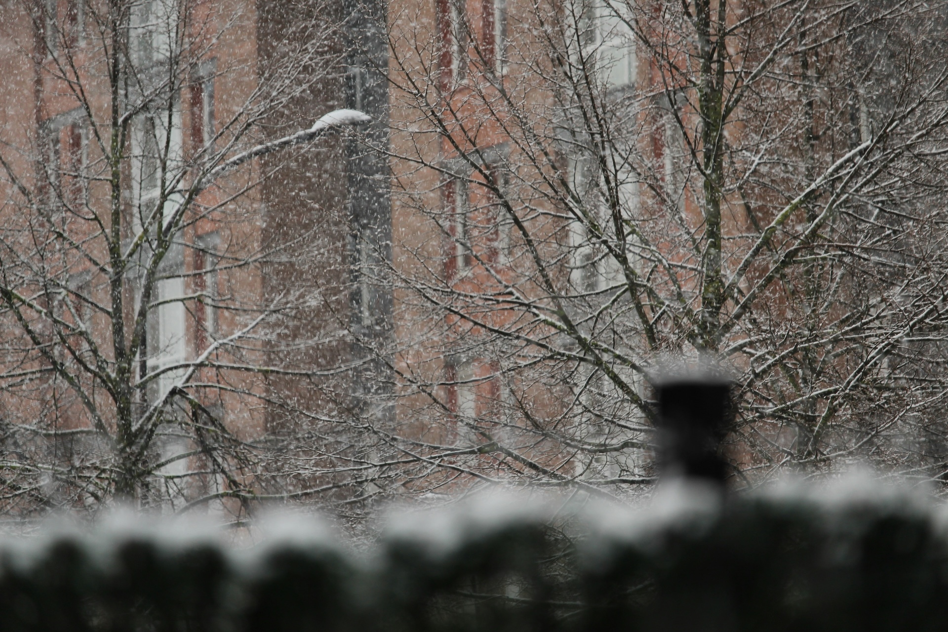 Снежный покров до 5 см ожидается в Москве