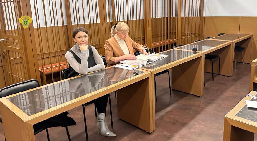 Елена Блиновская с адвокатом на оглашении приговора