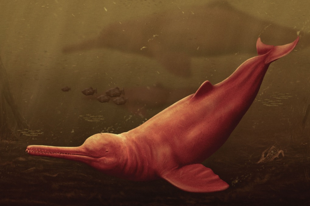 Вымерший речной дельфин (художественная реконструкция)