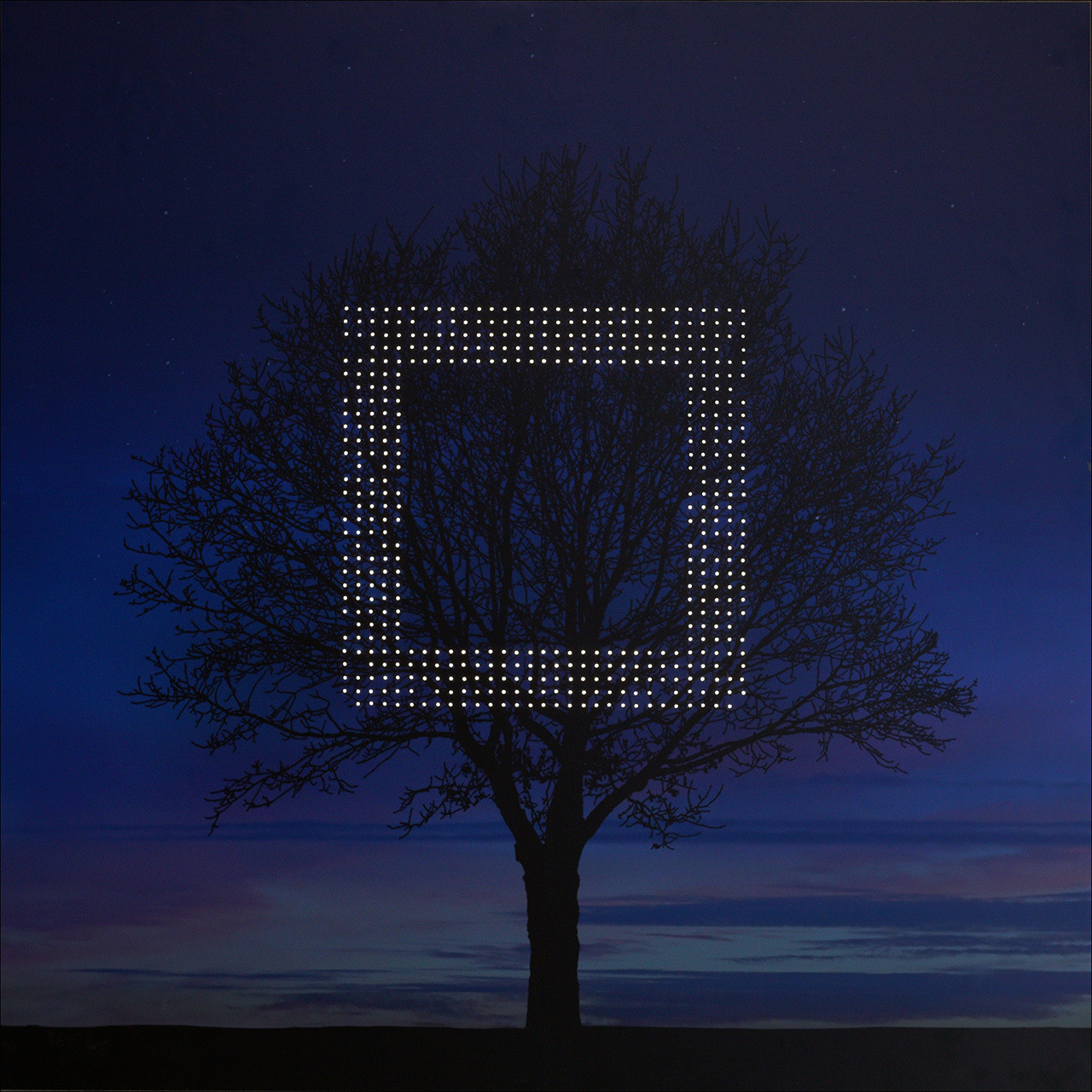 Северин Инфантэ, «041», из серии «Метр Квадратный»