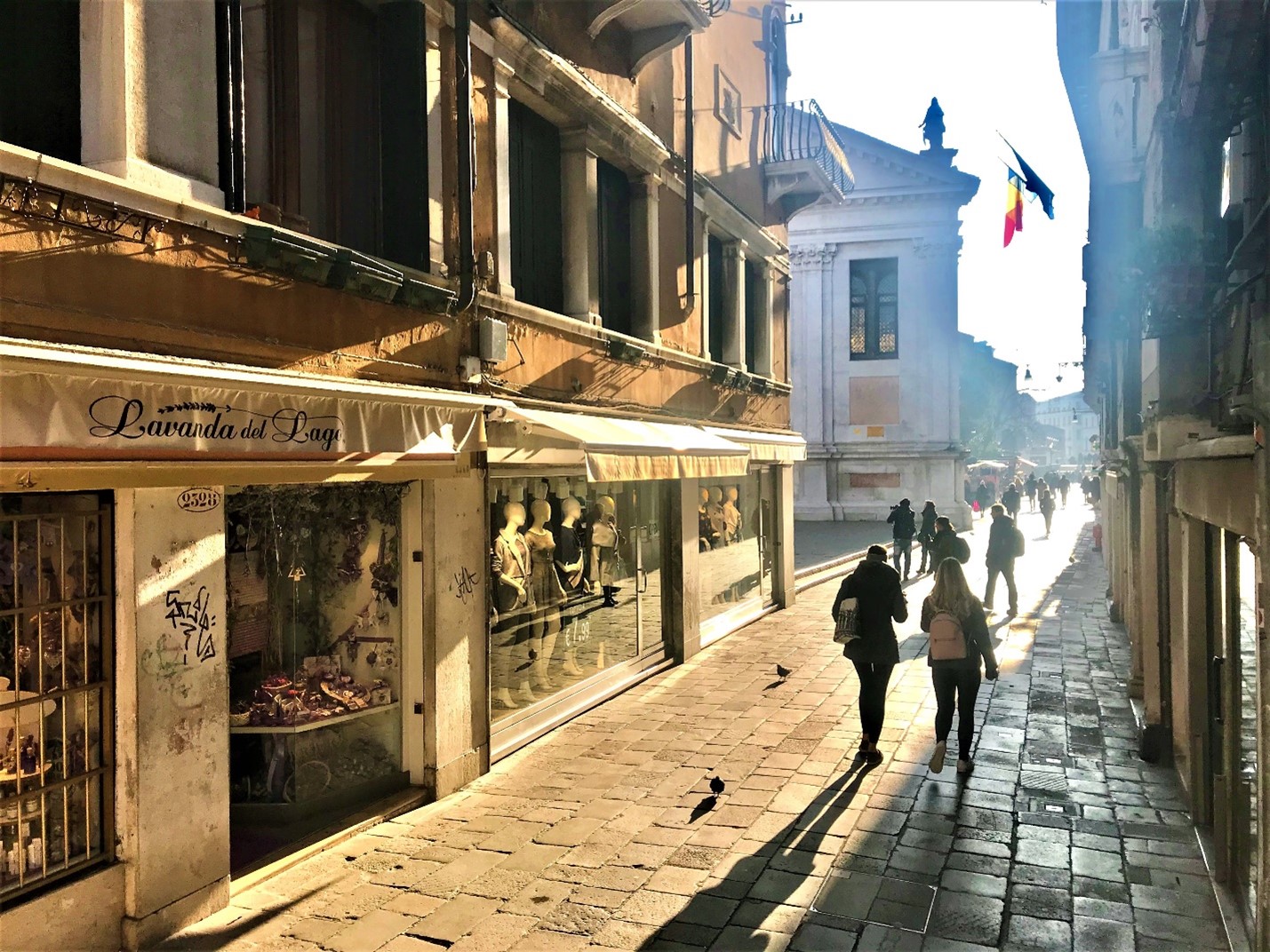 Как и И. Бродский, я люблю бывать в Венеции зимой, преимущественно, в феврале... мне нравится этот контраст света и тени